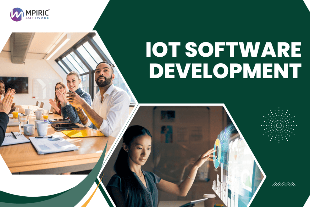 IoT Software Development (2)